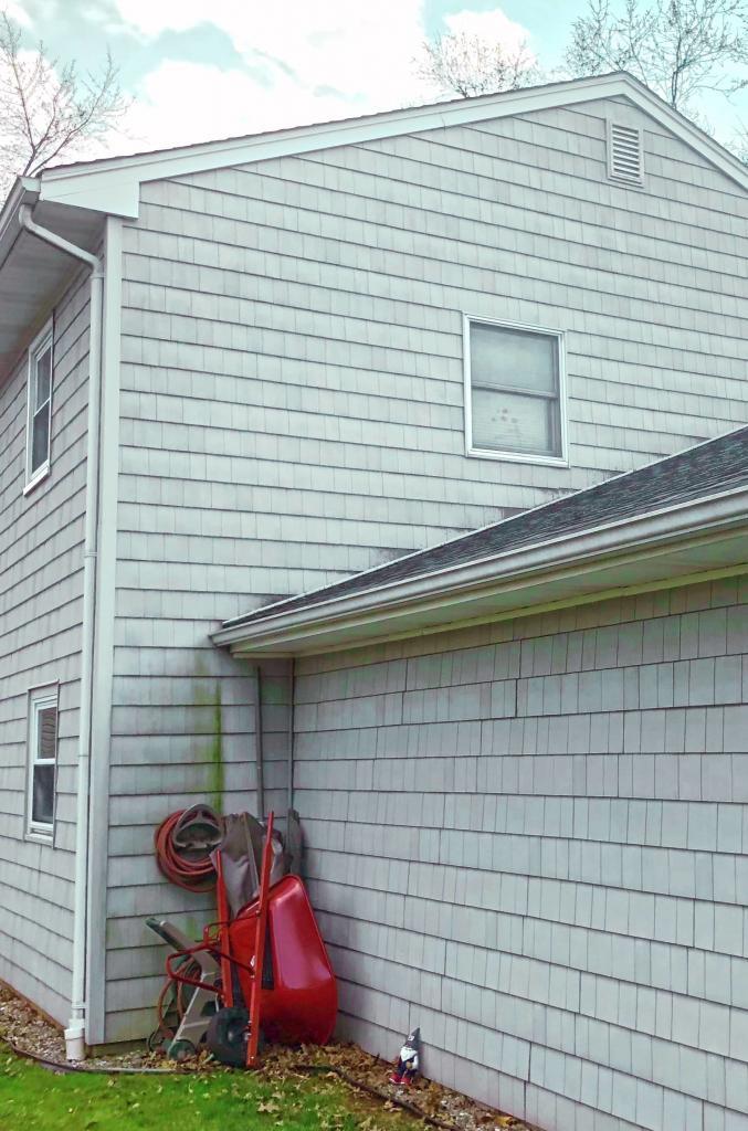 128203-house-washing-siding-before