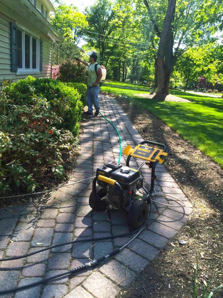 73901-before-power-washing-walkway-front-home