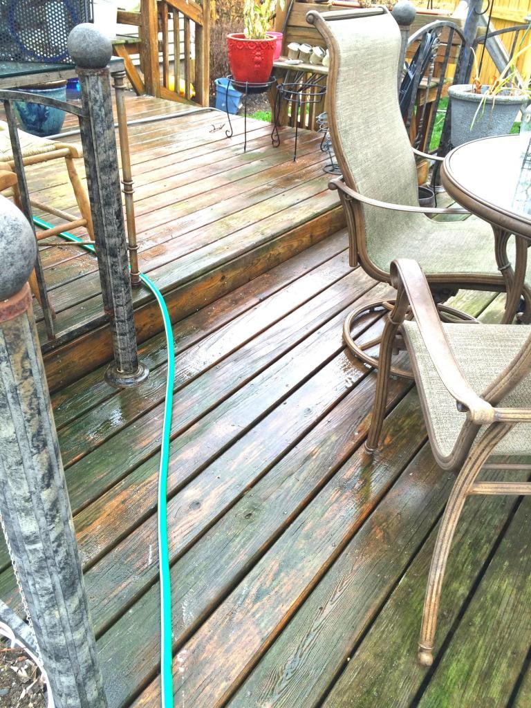 75809-before-power-washing-deck-mold